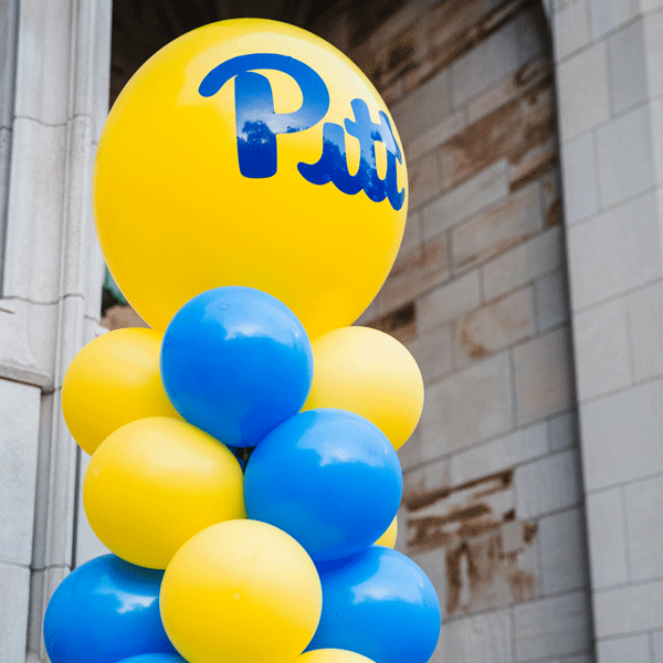 Pitt themed balloons