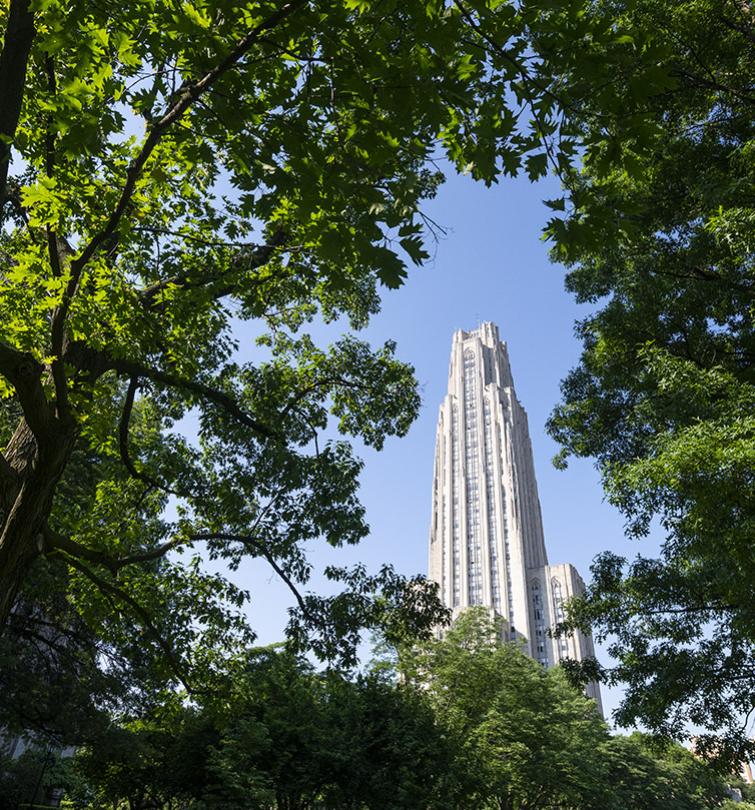 An image of the Cathedral of Learning framed by green leaves.