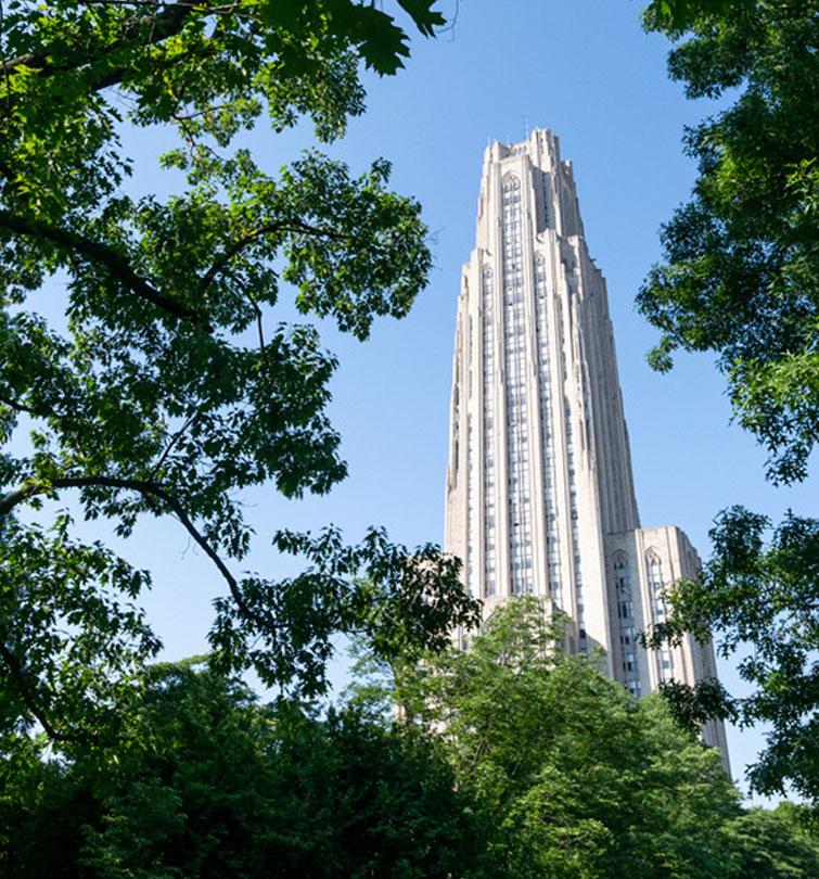 A tall building between trees.