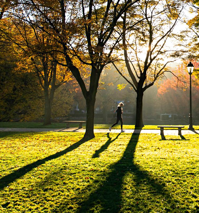 Person walking on path with sun coming through surrounding trees.