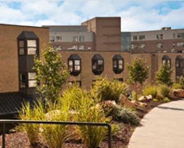 Buildings on campus.