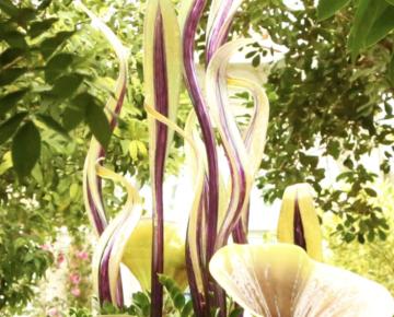 Plants and a sculpture in a rich, verdant indoor botanical garden.