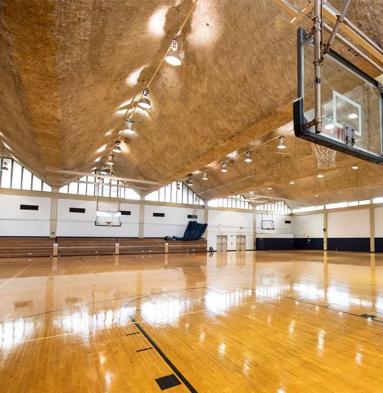 Trees Hall Gym